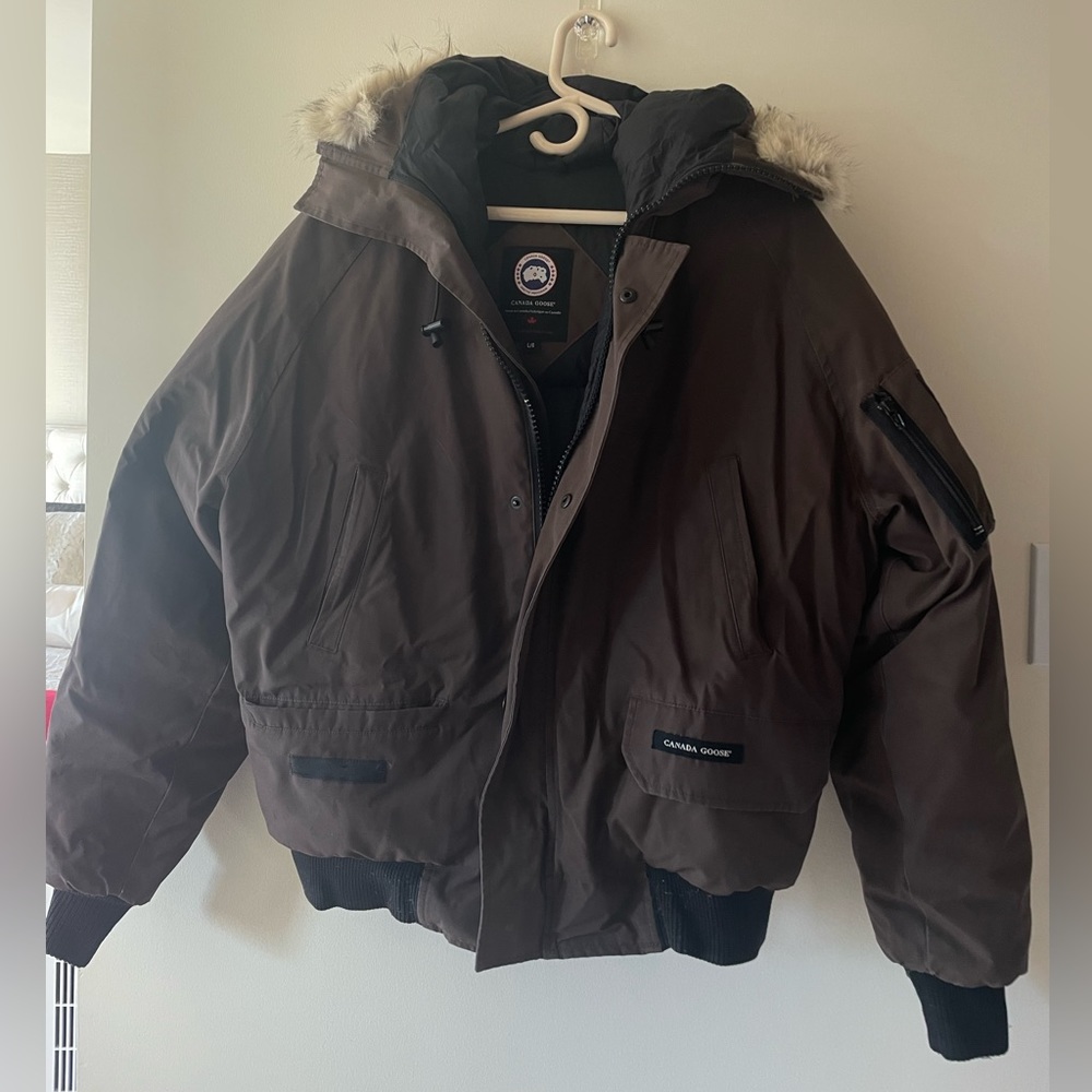 CHOCOLATE BROWN CANADA GOOSE BOMBER - Mens